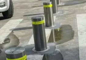 全自动榴莲视频WWW免费观看的有关介绍