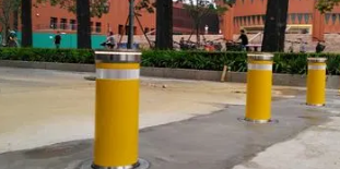 不可或缺的学校榴莲视频WWW免费观看