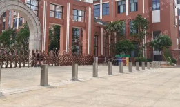 学校榴莲视频WWW免费观看是否有必要