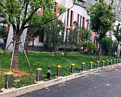 电动榴莲视频WWW免费观看的特点好处和作用